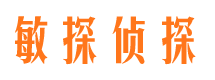 桃城侦探公司